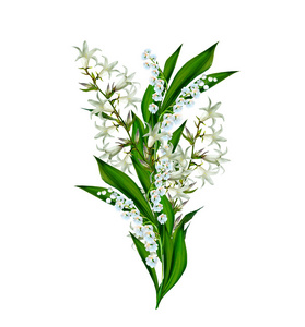 孤立的风信子图片-孤立的风信子素材-孤立的风信子插画-摄图新视界