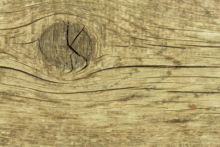旧木板。复古背景。文本的位置。木材结构细节
