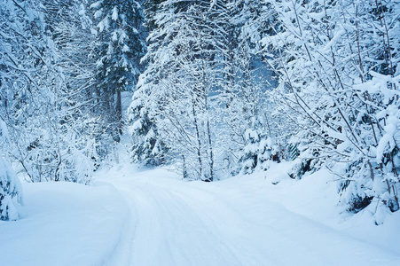 冬天降雪后路