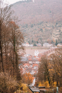 海得尔堡老镇的冬天看法在德国。老德国镇的古典传统自然看法