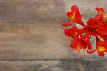 红橙 Alstroemeria Astromeria 花布置仿古木桌平放复印空间