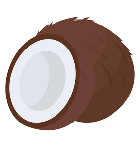 带剖面的椰子照片