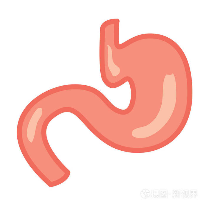 医学印刷品彩色贴纸的矢量插图.人胃