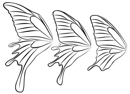 蝴蝶的翅膀