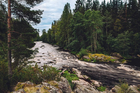 芬兰绿色森林岩石中的山快河溪流