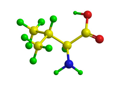 缬氨酸分子的结构