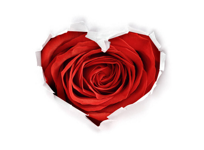 白撕纸心形符号与情人节红玫瑰背景