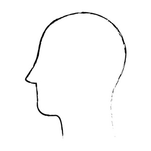 人体头部轮廓照片