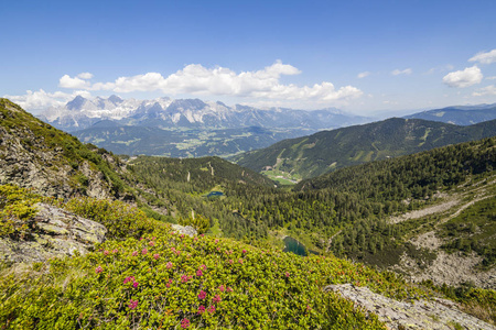 看从山与 Alpenrose 到湖和山 Dachstein