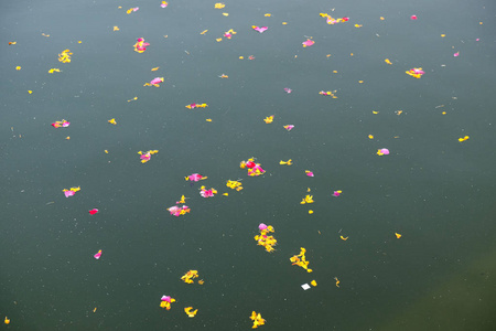 五颜六色的花卉产品, 花瓣, 花朵和花环, 漂浮在普什卡湖, 拉贾斯坦邦, 印度