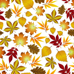 无缝处理红色和黄色秋天的落叶