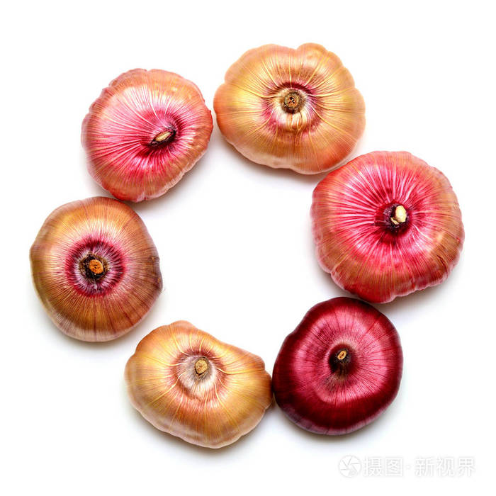 白色背景下的唐菖蒲花鳞茎.农业, 园艺.准备在地里种植的植物.