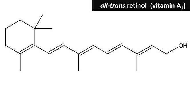 视黄醇的分子结构维生素A1