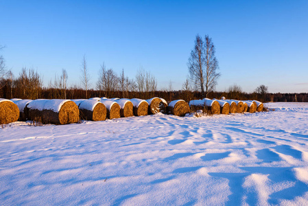 农村冰冻湖泊的积雪小径