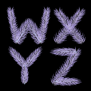 字母表背景黑色的白羽毛绒毛蓬松冰雪照片