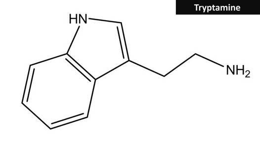 色胺的分子结构