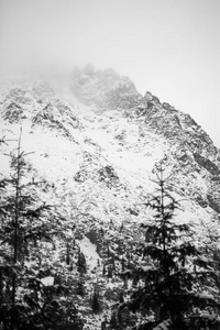 山在冬天扎科帕内单色