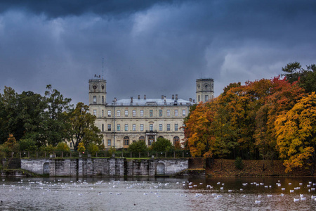 Gatchina 公园的金秋