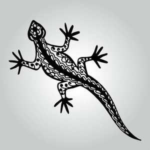 绘涂鸦蜥蜴.野生动物集合照片