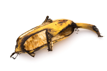 成熟的香蕉咬伤致附近的白色衬底上的昆虫起