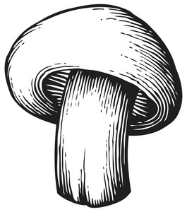 干花菇图片-干花菇素材-干花菇插画-摄图新视界