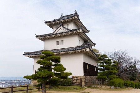 丸山日本丸龟城堡照片