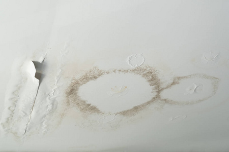 漏粪板天花板漏水, 立即修理.照片