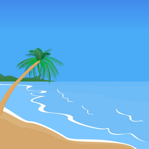 海滨风景。棕榈树。海滩度假