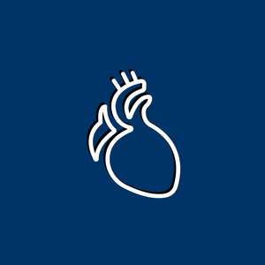 图标的心脏器官