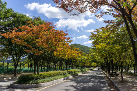 仁川大公园初秋