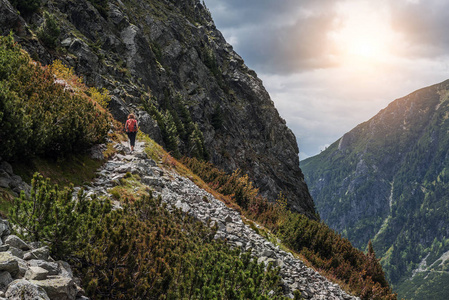 森林秋天风景在山。高 Tatras