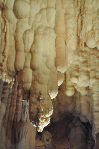 Toirano 洞穴图片