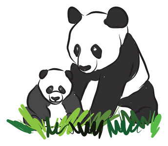 两只大熊猫的伞图片