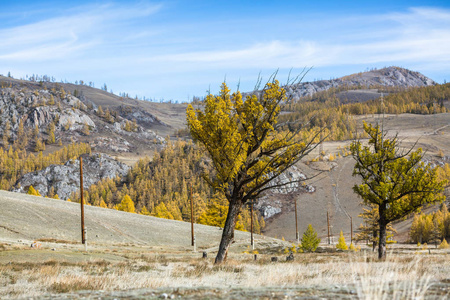 秋天的山的风景, 阿尔泰共和国, 俄国