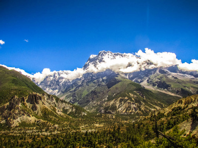 尼泊尔布尔纳自然保护区的景观与自然