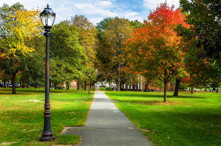 狭窄笔直的人行道两旁铺满了老式的路灯和公园里五颜六色的秋天的树木。纽黑文, Ct