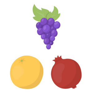 不同的水果卡通图标集收集为设计。水果和维生素矢量符号股票 web 插图