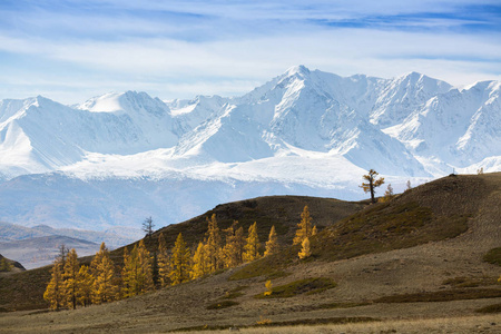 北丘亚岭的阿尔泰共和国，俄罗斯的山景