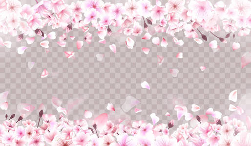 盛开的樱花。春天的背景。下降的粉红色的樱花花瓣。Eps 10 矢量