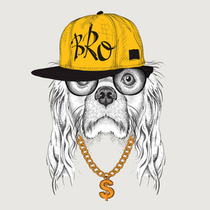嘻哈帽子的可卡犬肖像图像与海报.矢量图照片
