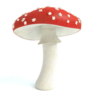 鹅膏菌蘑菇