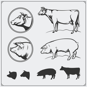 矢量猪肉和牛肉肉标签和设计元素。屠夫的业务标志。猪和牛的剪影