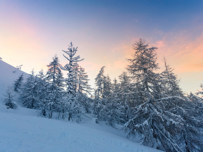 美丽的冬天风景与雪覆盖的树木