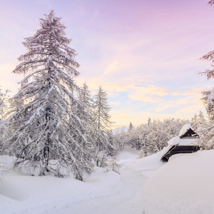 Julian 阿尔卑斯山区冬季景观