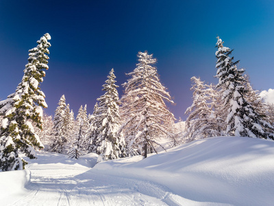 傅高义滑雪中心 Julian 阿尔卑斯山区附近的冬季景观