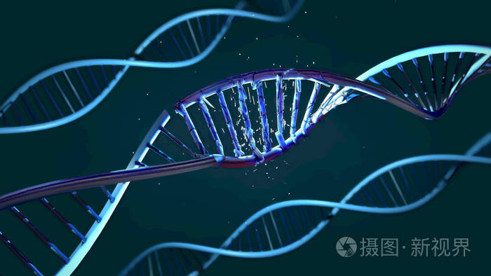 被损坏的核糖核酸或 dna 链的例证