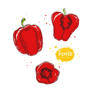 矢量胡椒手画插图的风格雕刻.详细的素食美食图画.农产品市场的产品.