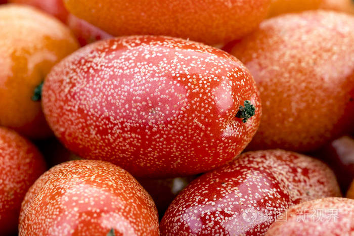 成熟的沙枣果-特写照片-正版商用图片0g0mll-摄图新视界