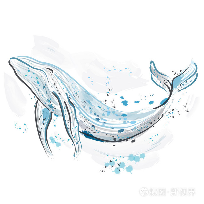 鲸鱼.复古手绘矢量图.卡, 打印, t 恤, 明信片, 海报