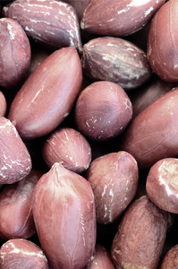 花生.有很多棕色果皮的小黄坚果.背景纹理照片